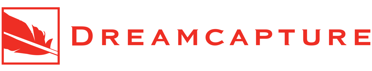 Dreamcapture Design logo